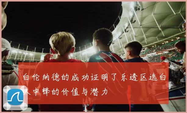 白伦纳德的成功证明了乐透区选白人中锋的价值与潜力